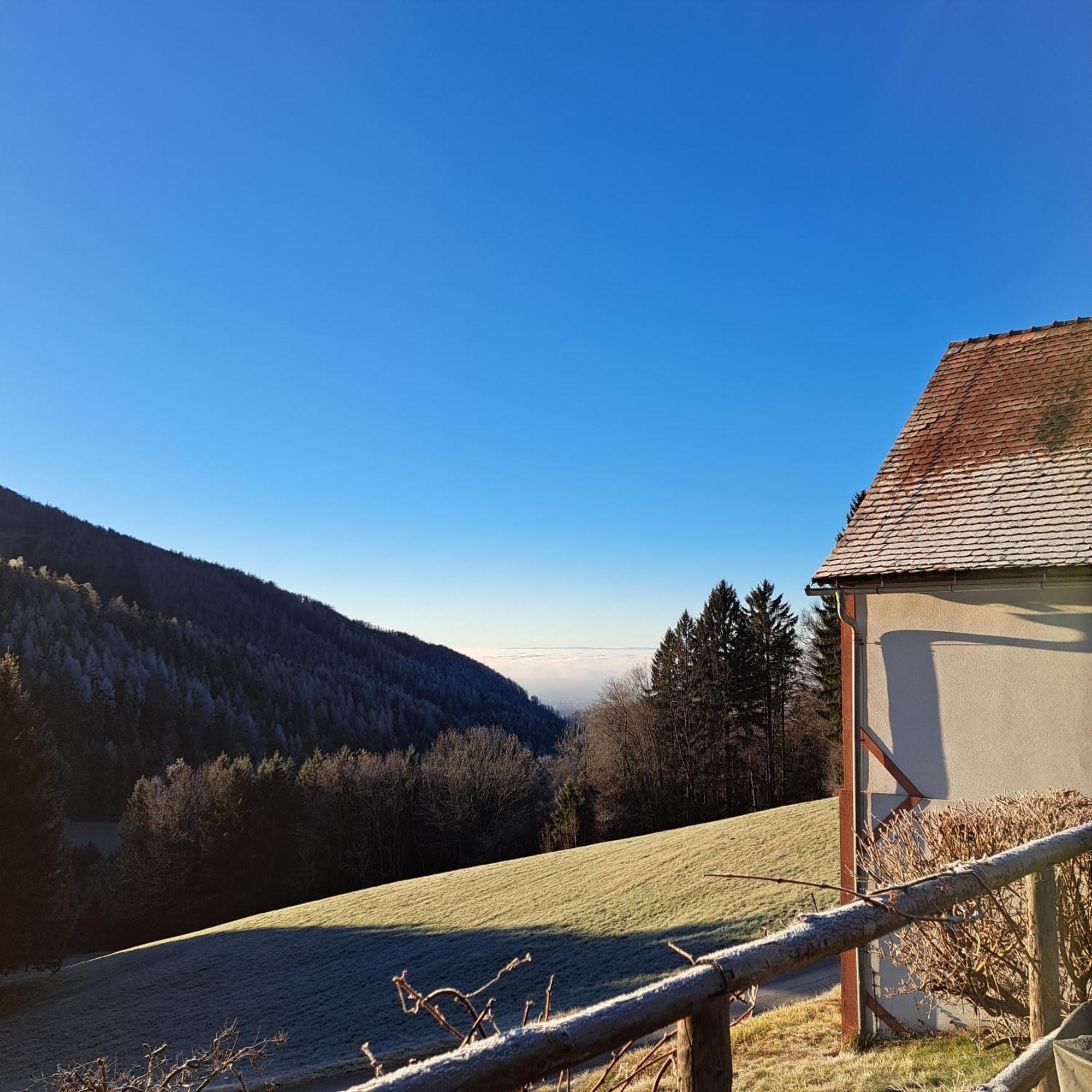 Apartment Schloffer Weiz Buitenkant foto